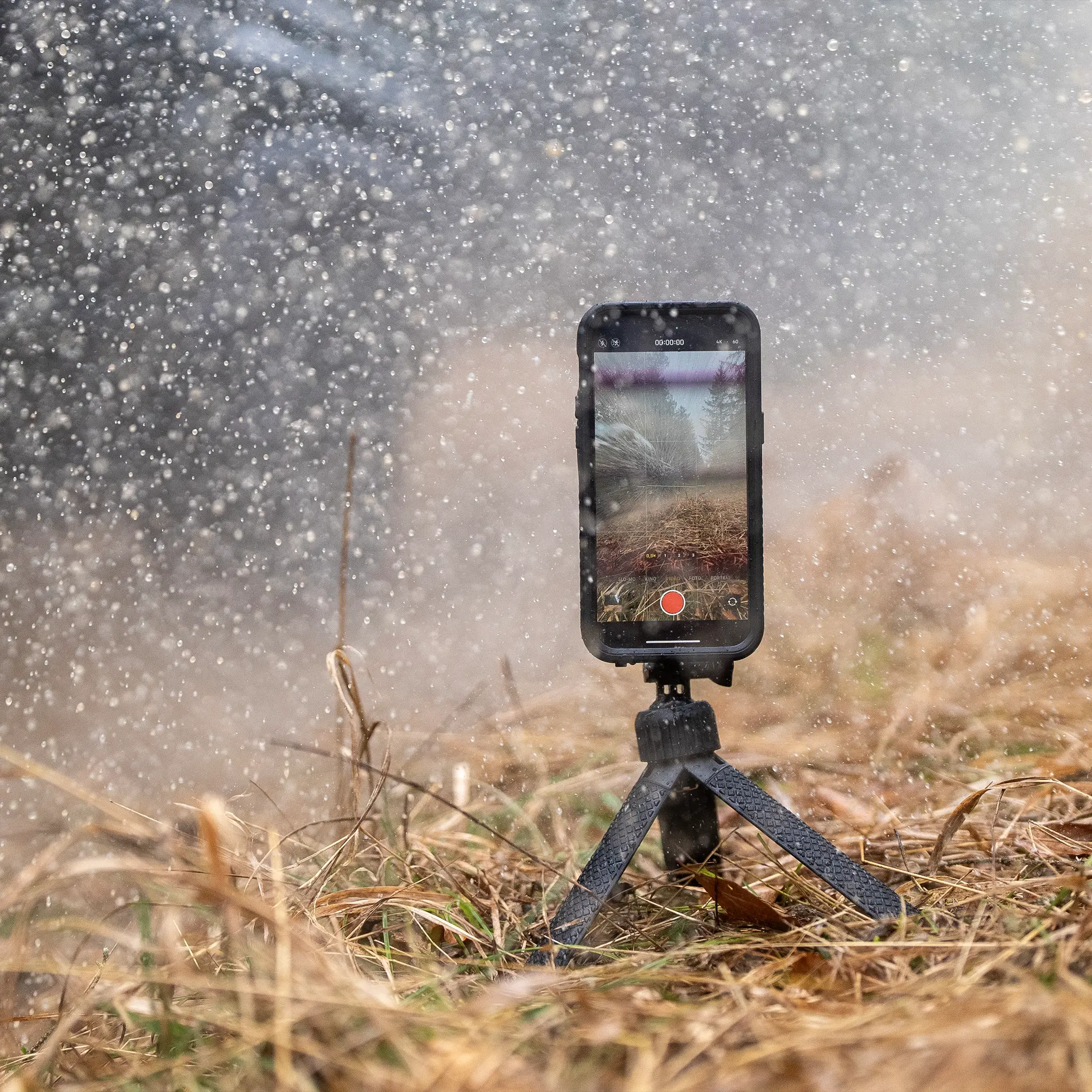 Phone Case - Apple - Image 88