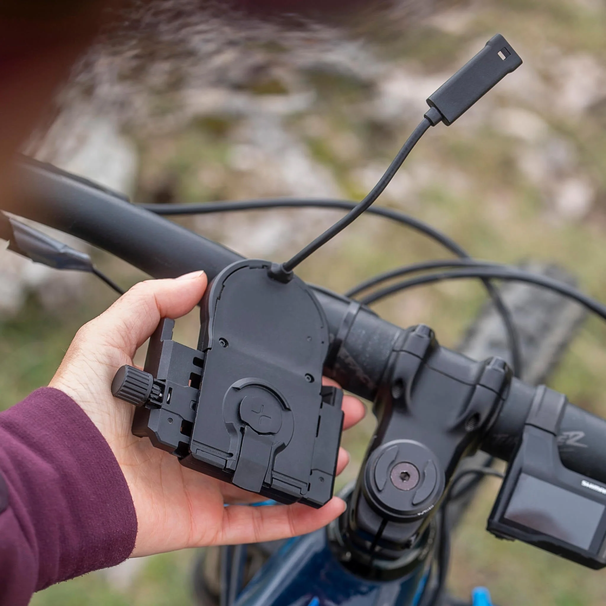 Universal (SPC) - Image 25